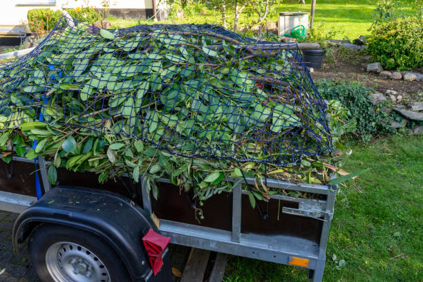 Best Hoarding Cleanup  in Olympia Fields, IL